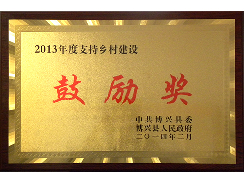 2013年度支持乡村建设鼓励奖